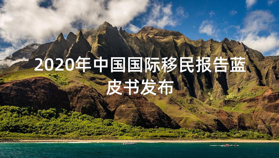 2020年中国国际移民报告蓝皮书发布