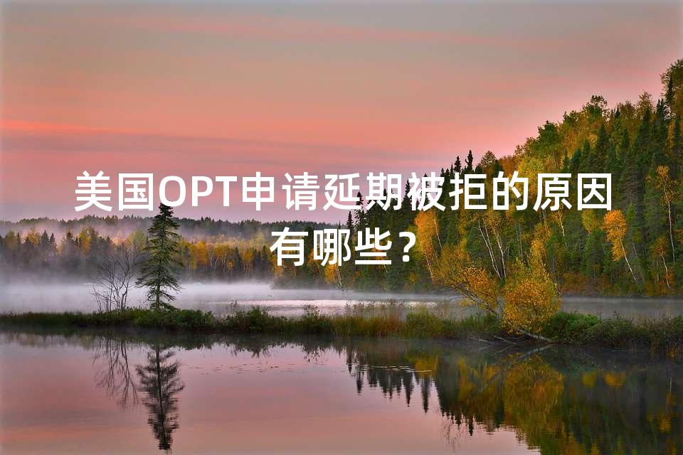 美国OPT申请延期被拒的原因有哪些？