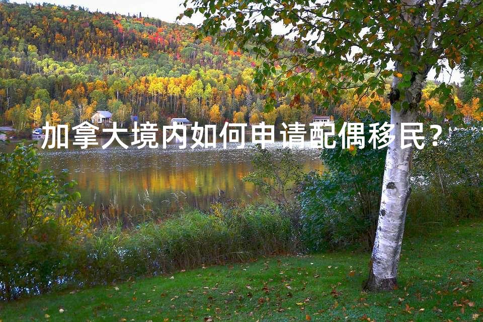 加拿大境内如何申请配偶移民？