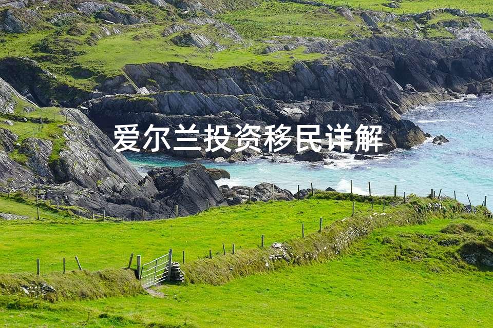 爱尔兰投资移民详解