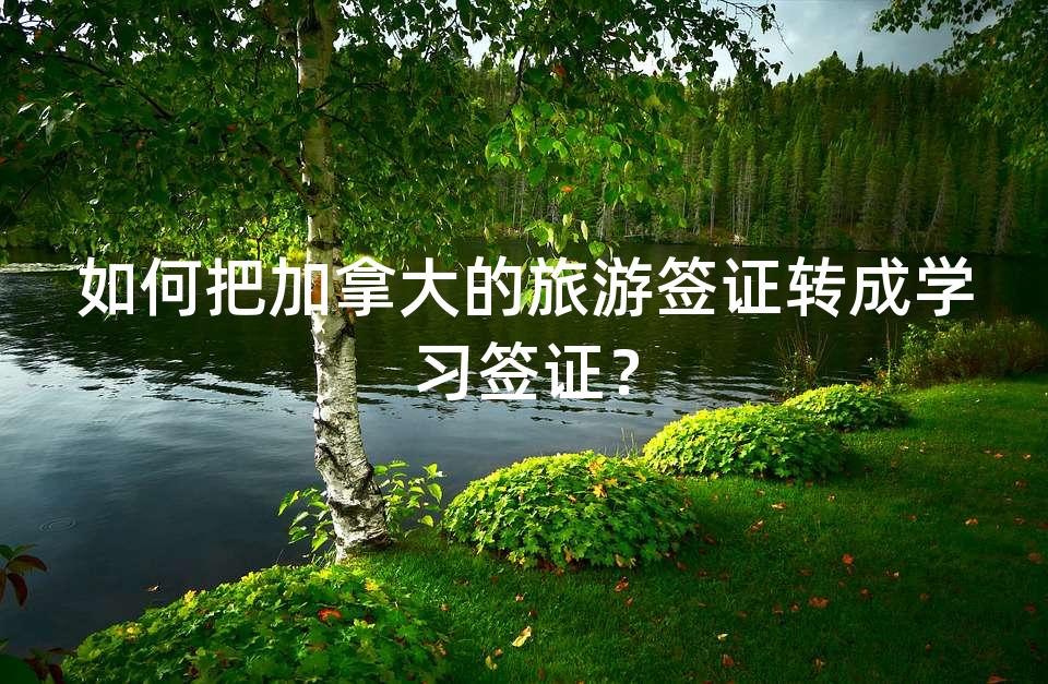 如何把加拿大的旅游签证转成学习签证？