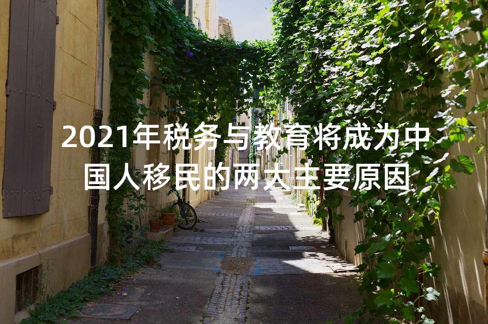 2021年税务与教育将成为中国人移民的两大主要原因