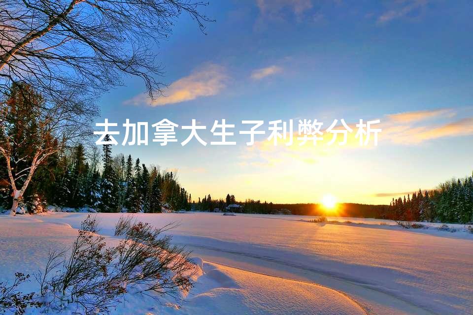 去加拿大生子利弊分析