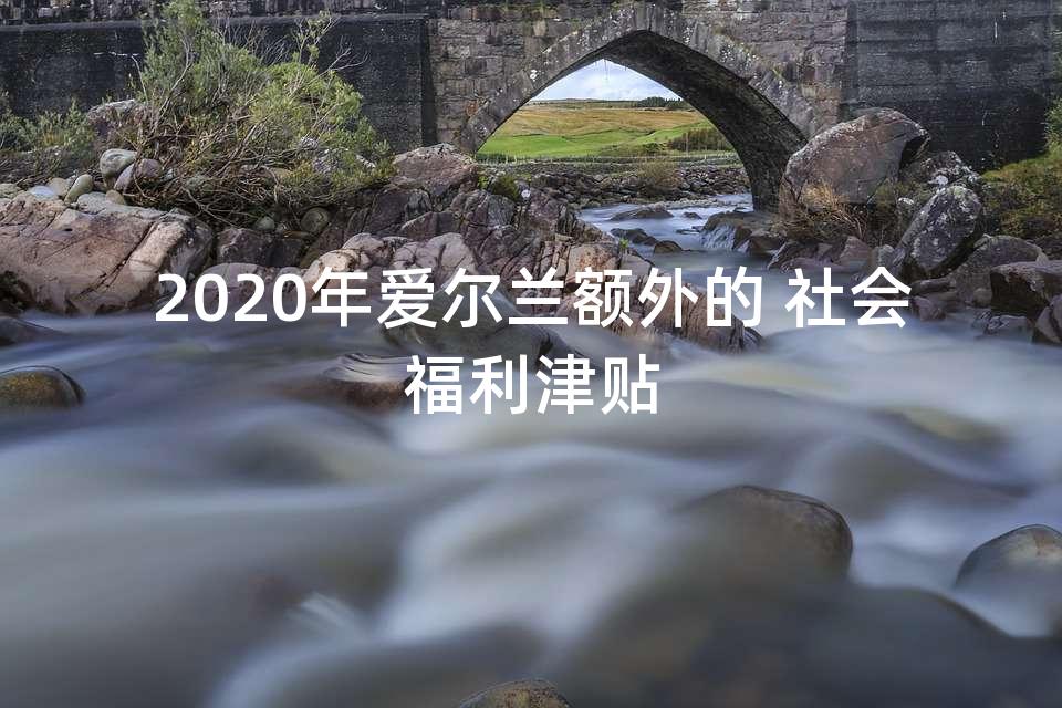 2020年爱尔兰额外的 社会福利津贴