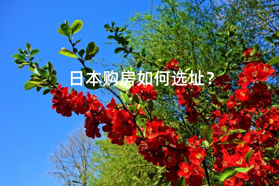 日本购房如何选址？