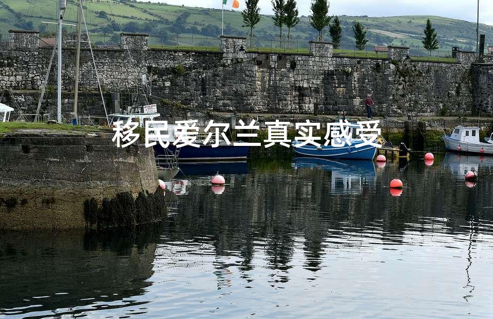 移民爱尔兰真实感受