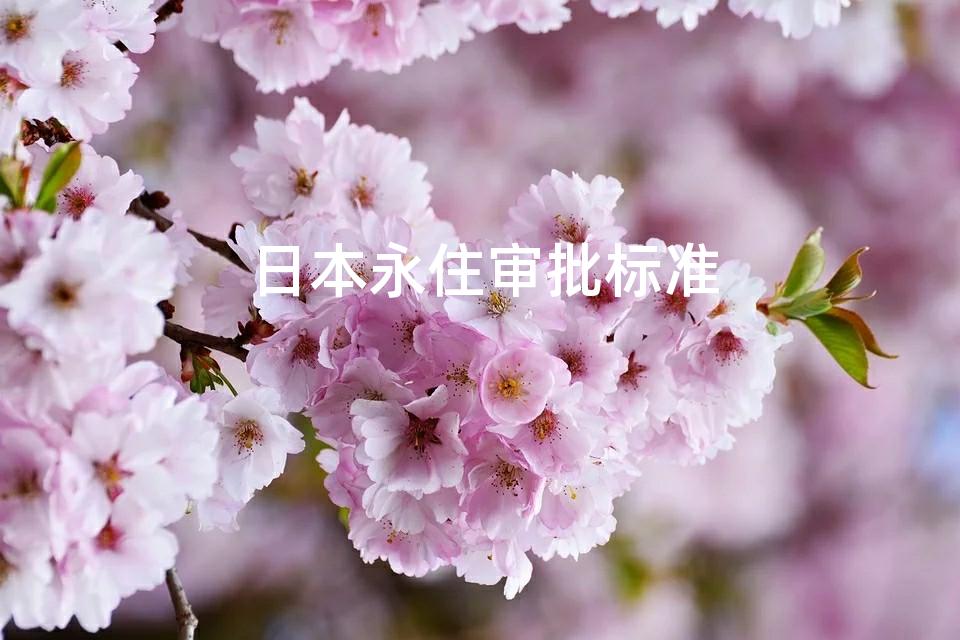 日本永住审批标准