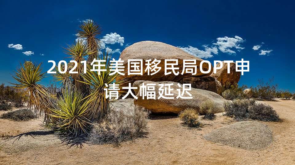 2021年美国移民局OPT申请大幅延迟