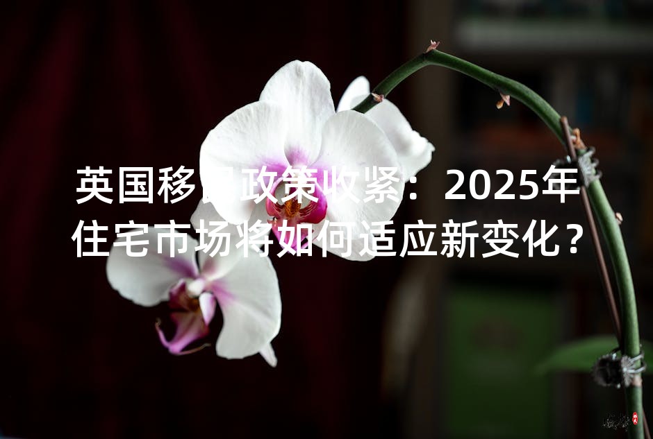 英国移民政策收紧：2025年住宅市场将如何适应新变化？
