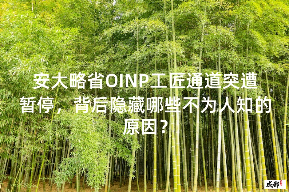 安大略省OINP工匠通道突遭暂停，背后隐藏哪些不为人知的原因？