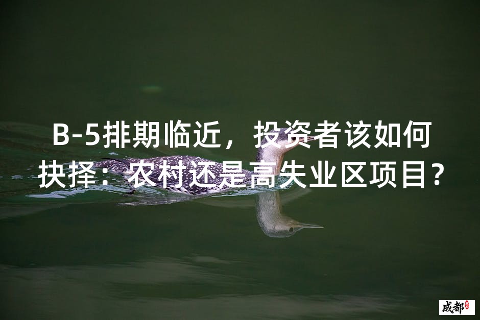 B-5排期临近，投资者该如何抉择：农村还是高失业区项目？