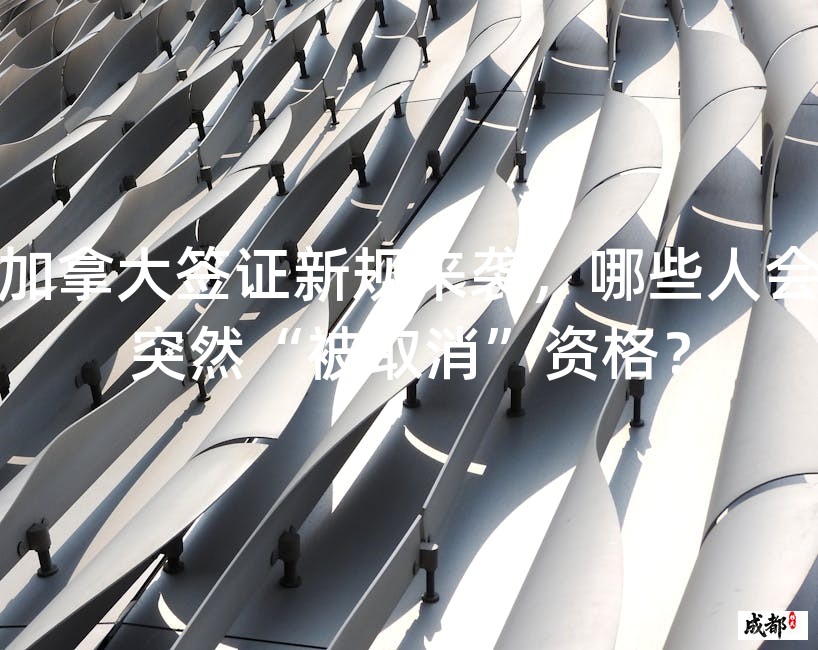 加拿大签证新规来袭，哪些人会突然“被取消”资格？