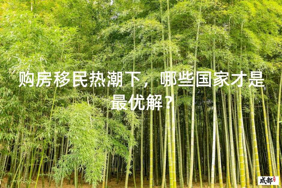 购房移民热潮下，哪些国家才是最优解？