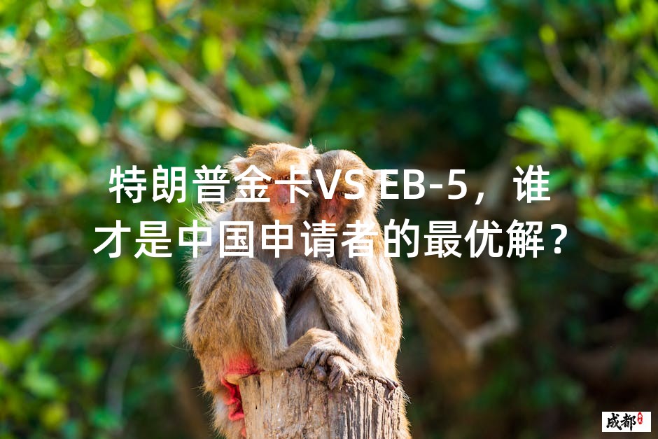 特朗普金卡VS EB-5，谁才是中国申请者的最优解？