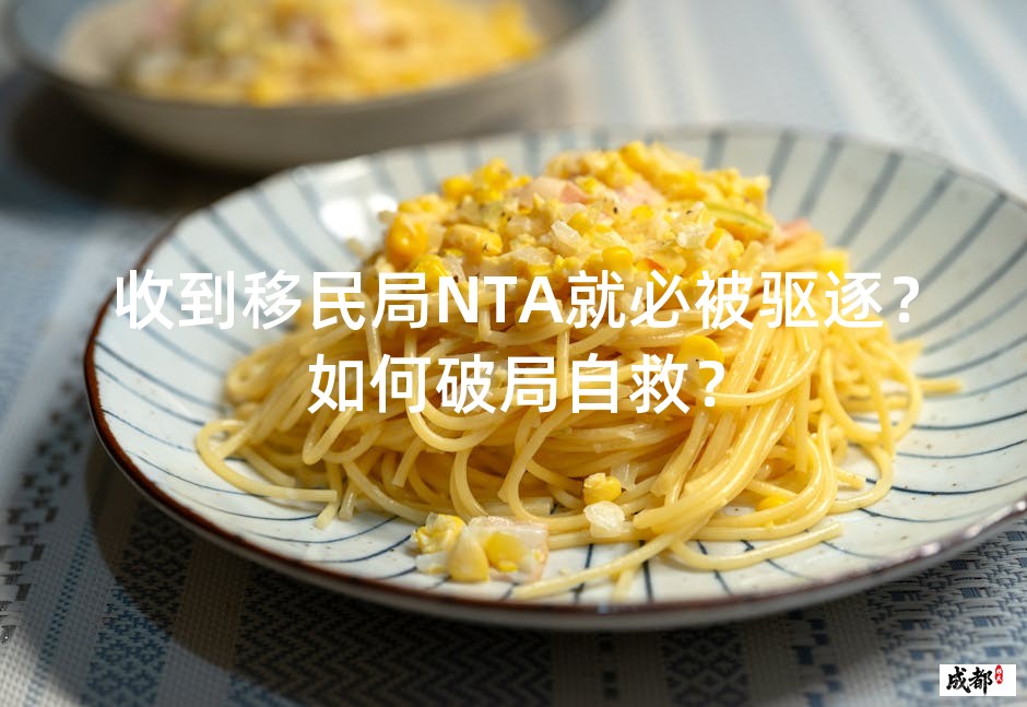 收到移民局NTA就必被驱逐？如何破局自救？