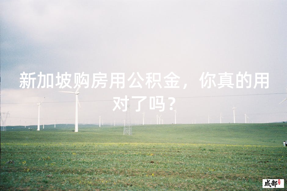 新加坡购房用公积金，你真的用对了吗？