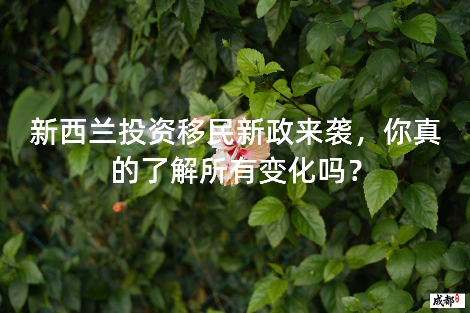 新西兰投资移民新政来袭，你真的了解所有变化吗？