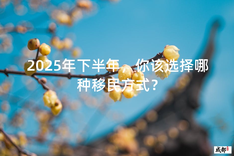 2025年下半年，你该选择哪种移民方式？