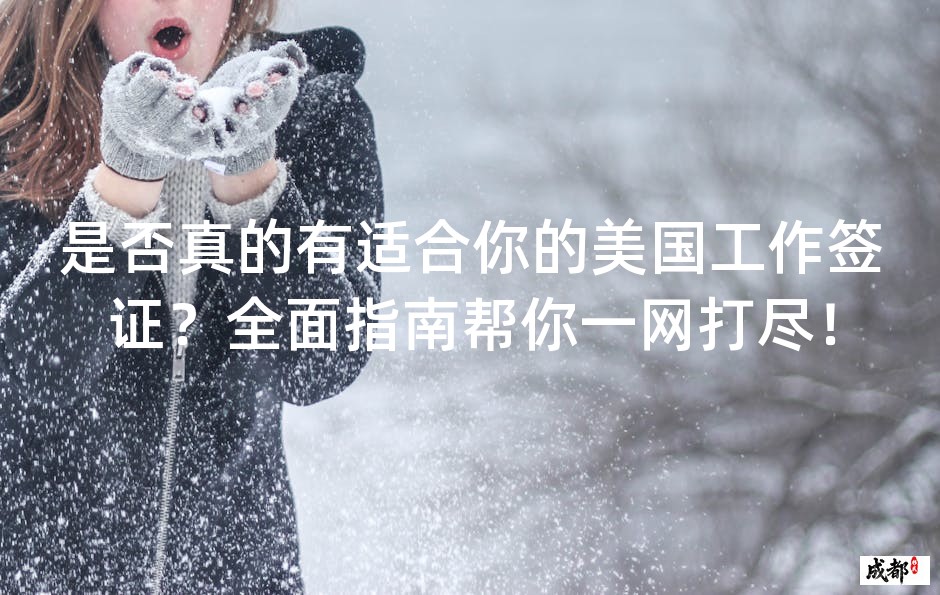 是否真的有适合你的美国工作签证？全面指南帮你一网打尽！