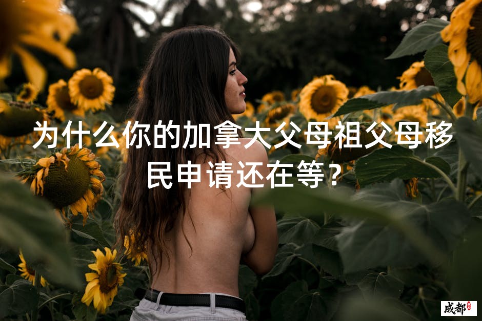 为什么你的加拿大父母祖父母移民申请还在等？