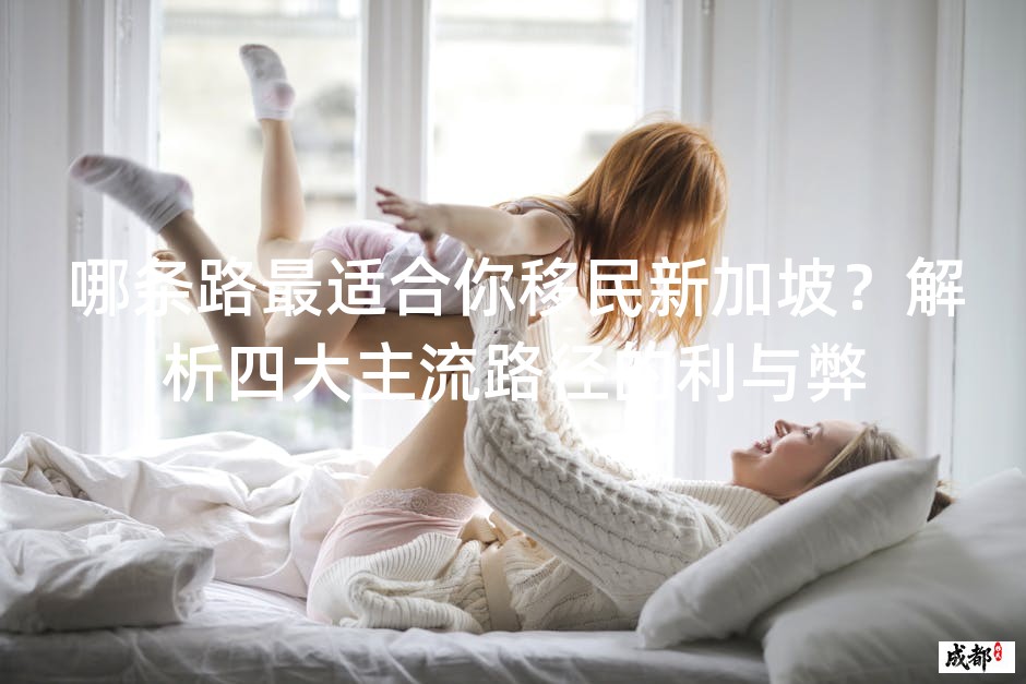 哪条路最适合你移民新加坡？解析四大主流路径的利与弊