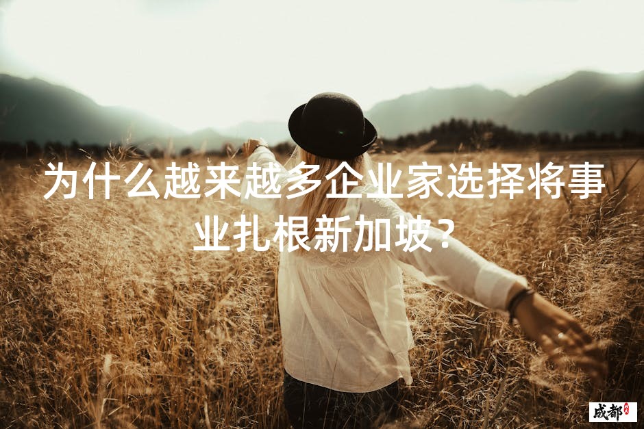 为什么越来越多企业家选择将事业扎根新加坡？