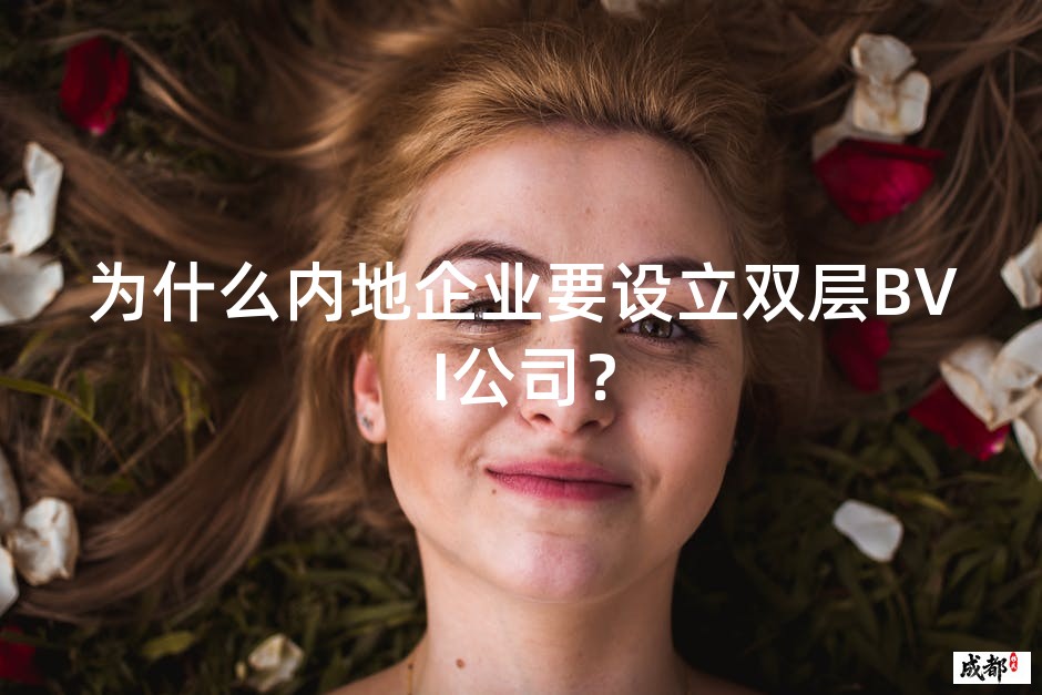 为什么内地企业要设立双层BVI公司？