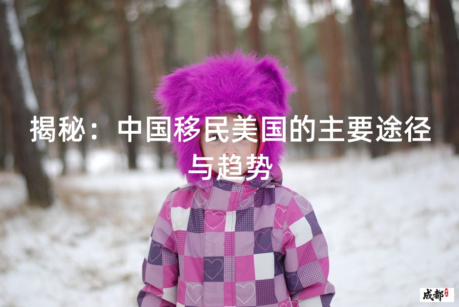 揭秘：中国移民美国的主要途径与趋势