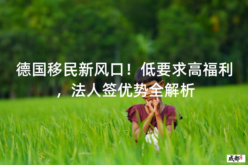 德国移民新风口！低要求高福利，法人签优势全解析