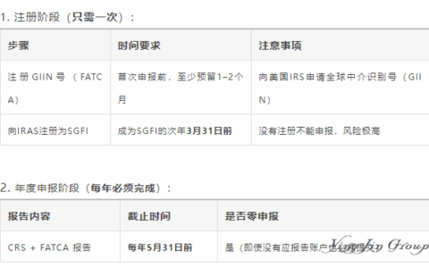 新加坡家族办公室设立指南：税务合规与风险管理