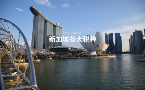 新加坡各大税种